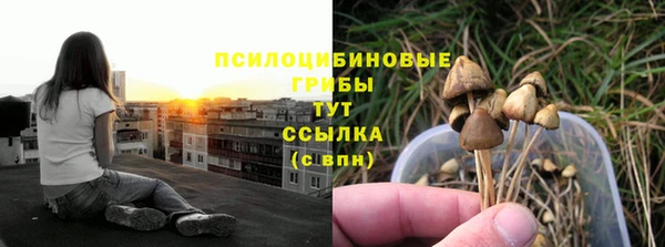 прущие грибы Алексеевка