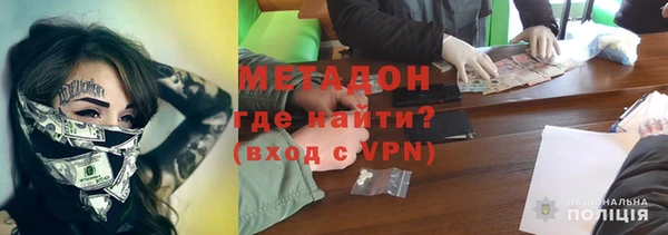 прущие грибы Алексеевка