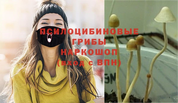 прущие грибы Алексеевка