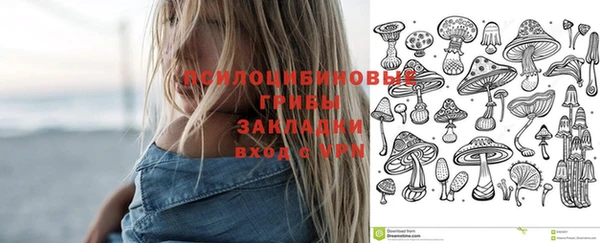 прущая мука Алзамай