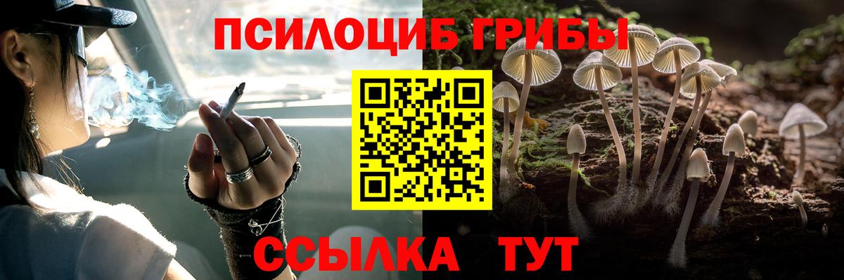 Галлюциногенные грибы прущие грибы  Вход с VPN  Дзержинск 