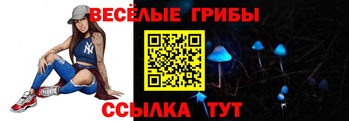 Галлюциногенные грибы GOLDEN TEACHER Дзержинск